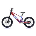 2024 RFN EVO RACING 20'' KIDS ELECTRIC BIKE ⚡⚡⚡