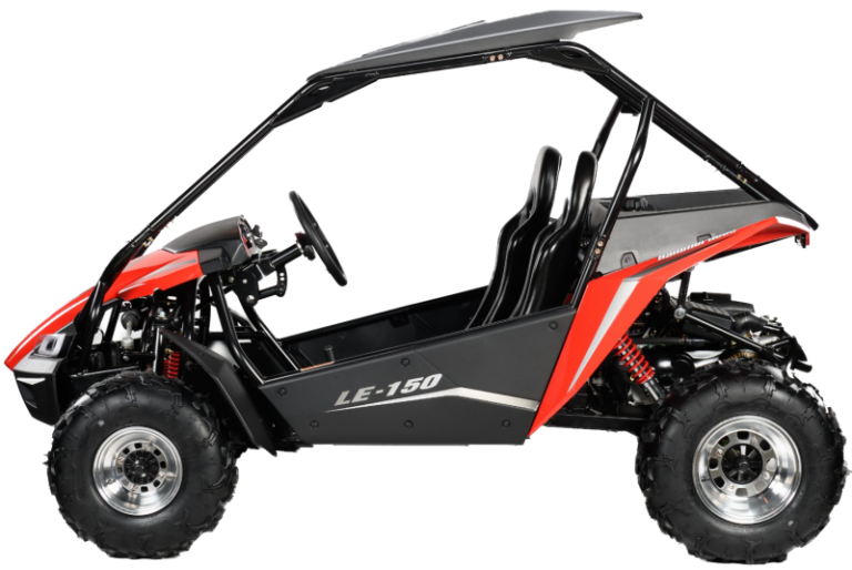 POLARIS HAMMERHEAD LE-150 BUGGY 🔥🔥🔥