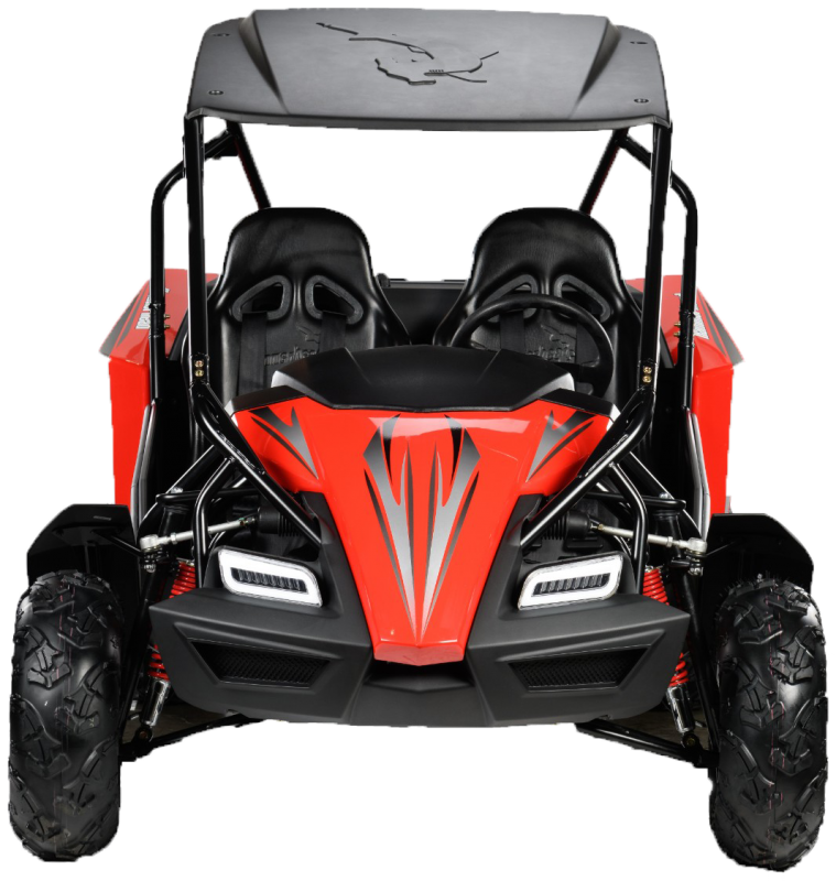 POLARIS HAMMERHEAD LE-150 BUGGY 🔥🔥🔥