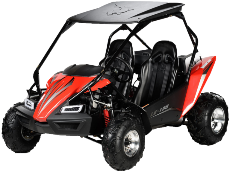 POLARIS HAMMERHEAD LE-150 BUGGY 🔥🔥🔥