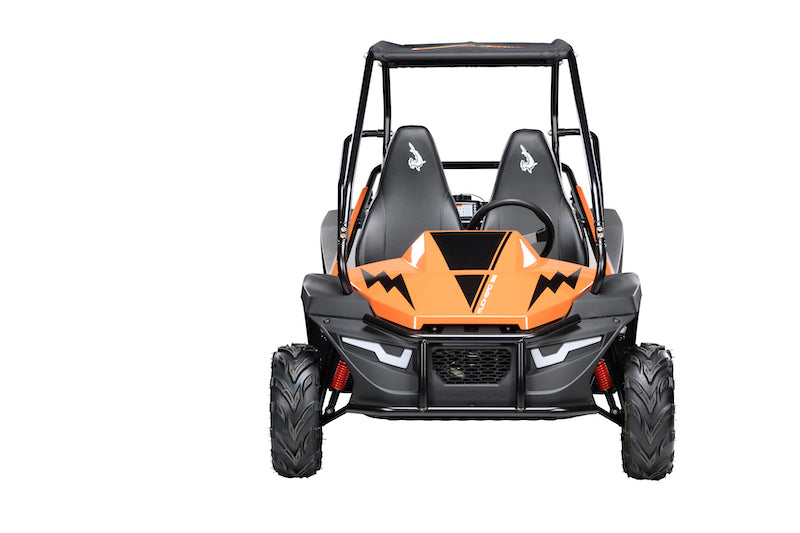 POLARIS HAMMERHEAD MUDHEAD SE OFF-ROAD BUGGY 🔥🔥🔥