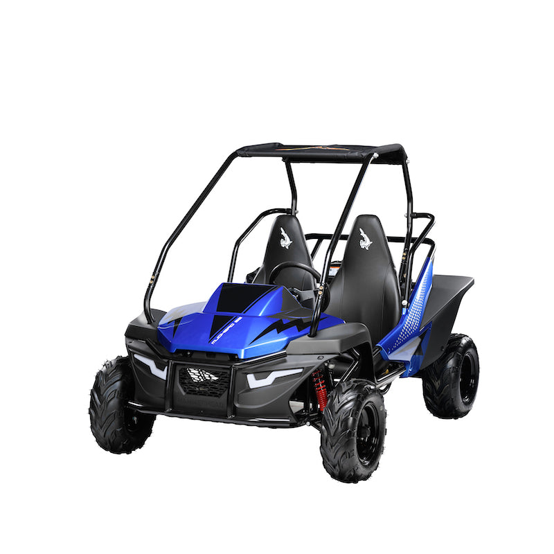 POLARIS HAMMERHEAD MUDHEAD SE OFF-ROAD BUGGY 🔥🔥🔥